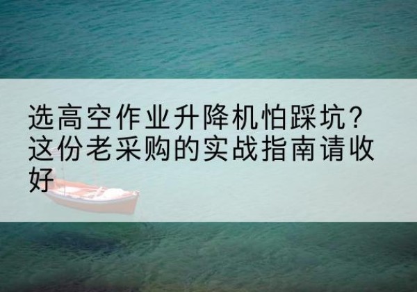 奉新高空作业升降机厂家推荐-选高空作业升降机怕踩坑？这份老采购的实战指南请收好