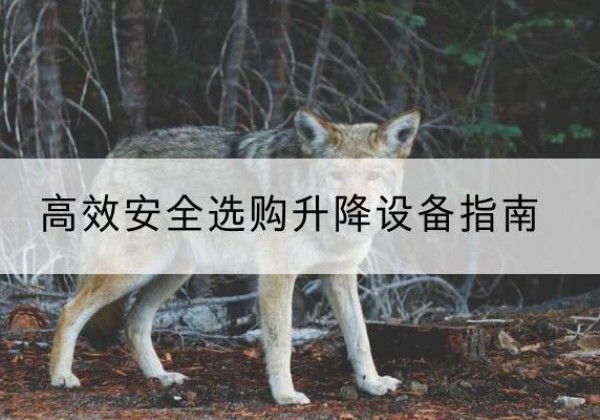 奉新升降货梯厂家推荐-*安全选购升降设备指南