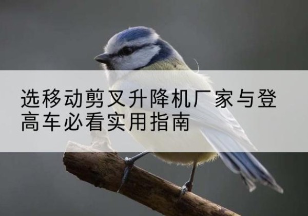 奉新电动升降机厂家-选移动剪叉升降机厂家与登高车必看实用指南
