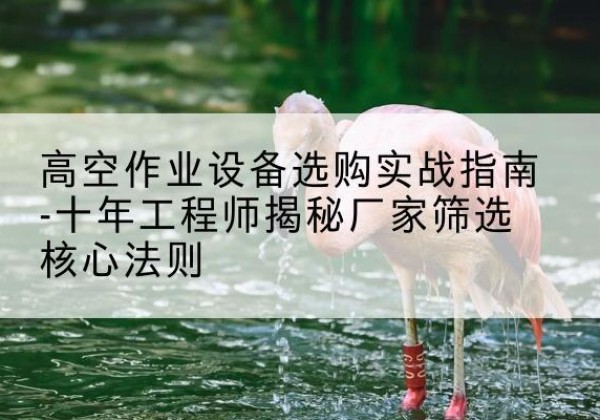 奉新剪叉式升降机厂家-高空作业设备选购实战指南-十年工程师揭秘厂家筛选核心法则